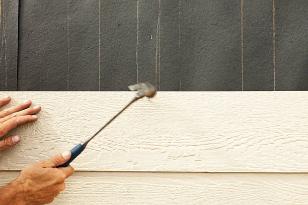 Best Brick Veneer Siding  in Water Valley, MS