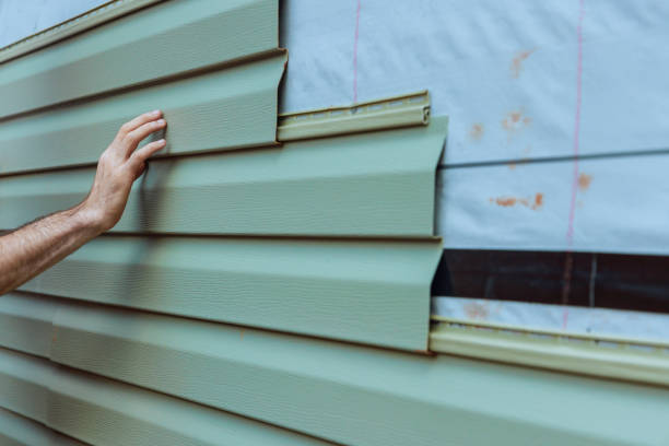 Best Brick Veneer Siding  in Water Valley, MS